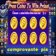 comprovante pix fake meme